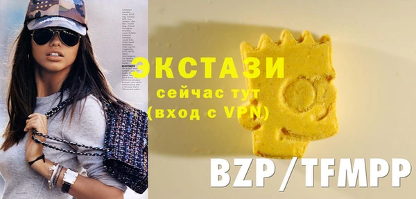 мдпв Протвино