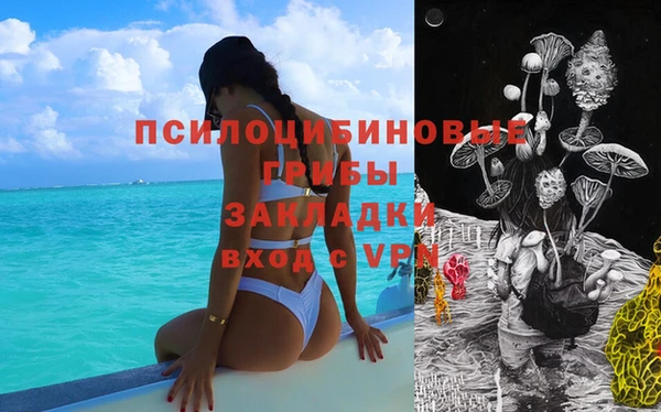 ГАЛЛЮЦИНОГЕННЫЕ ГРИБЫ Армянск