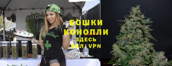 эйфоретик Пролетарск