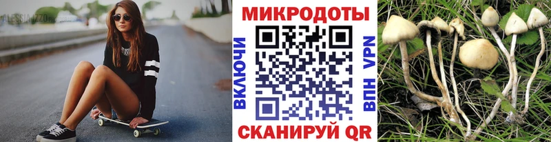 гидра как войти Бутурлиновка Псилоцибиновые грибы GOLDEN TEACHER