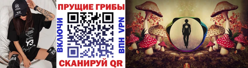 Псилоцибиновые грибы мухоморы Бутурлиновка
